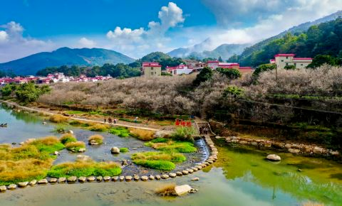 上尚策 揭西：农文旅融合奏响“百千万工程”新乐章